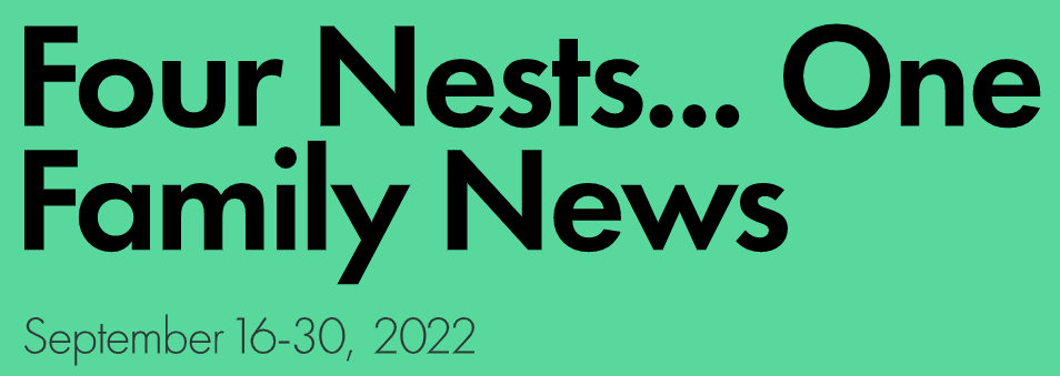 Four Nests One Family News September  first through fifteenth 