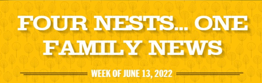 Four Nests...One Family News